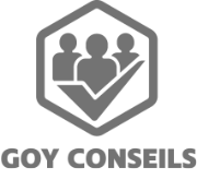 goyconseils.fr